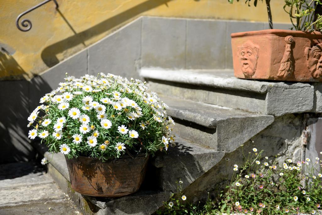 Locanda Giolica Πράτο Εξωτερικό φωτογραφία